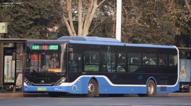 冀A 08206D