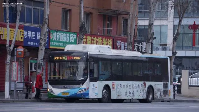 辽A BC217