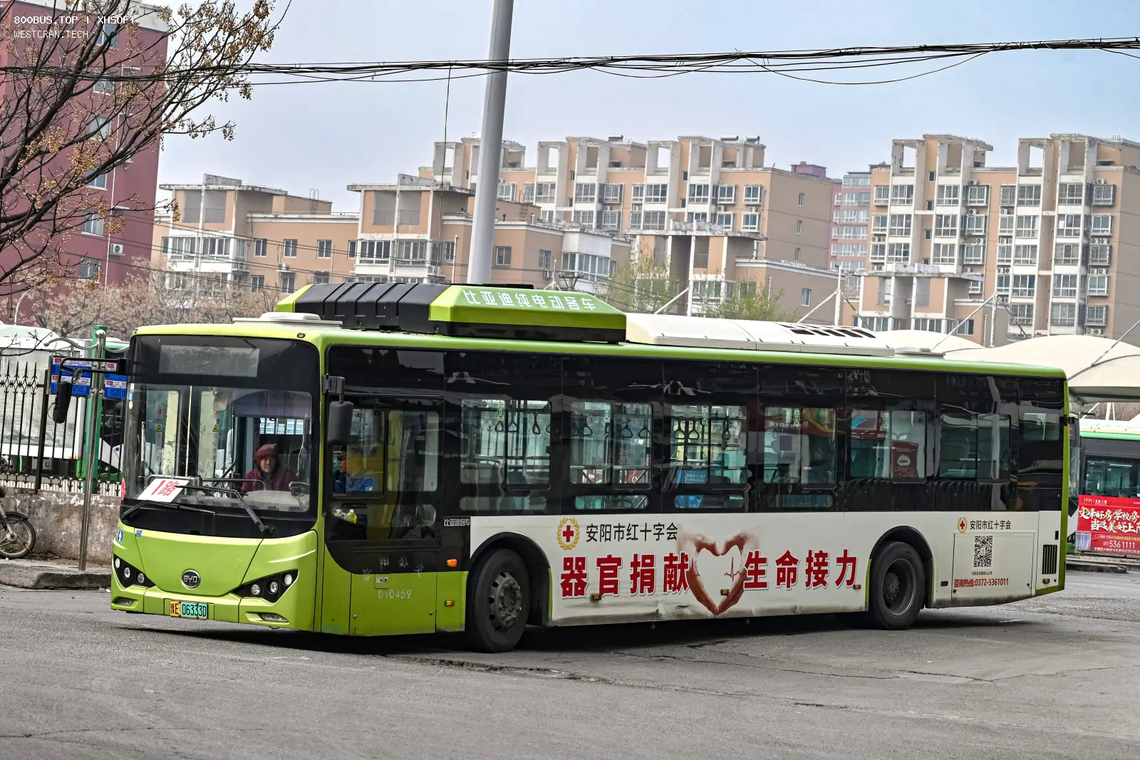 Bus Archive
