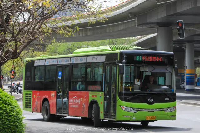 800BUS