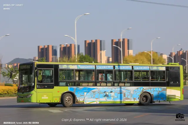 辽C B4621