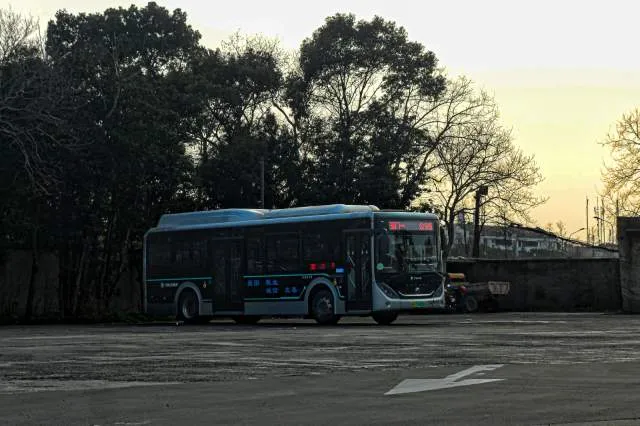 浙B05905D