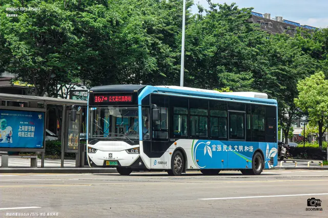 800BUS