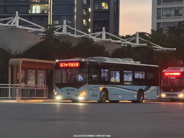 浙B 08650D