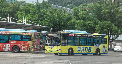 浙B 05882D