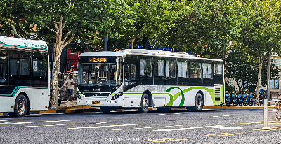 沪D D5302