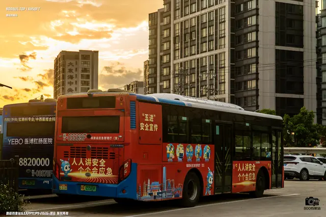800BUS