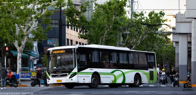 沪E D5313