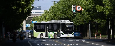 沪A 38073D