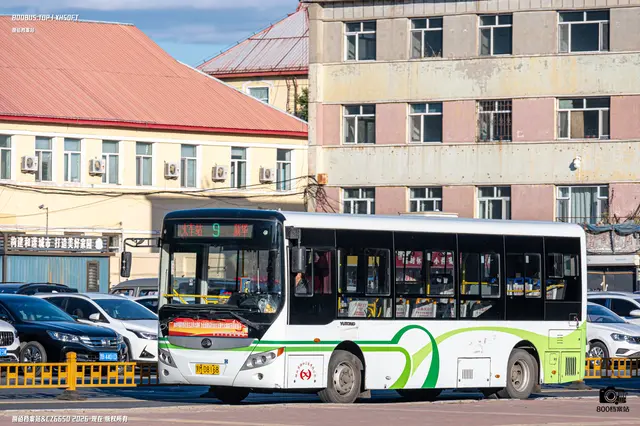 黑M D8168