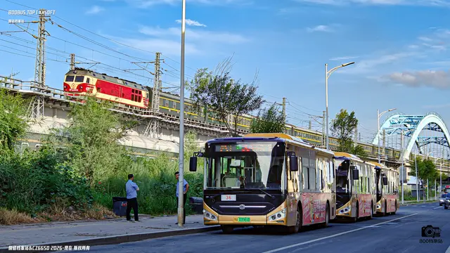 黑A 03561D