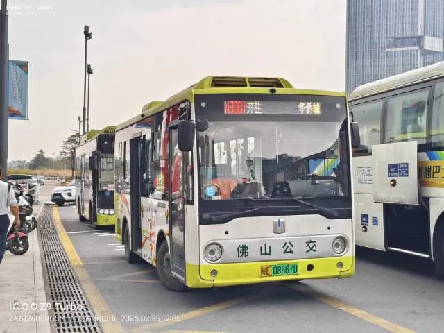 粤E 08667D