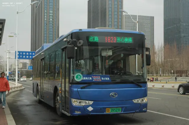 800BUS