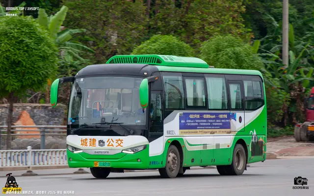 800BUS