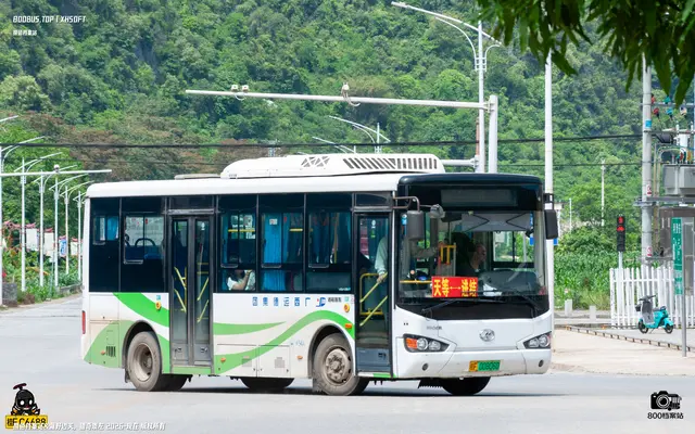 桂F 00806D