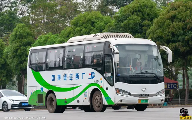 桂F 12193D
