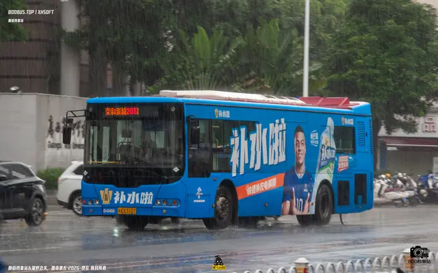 800BUS