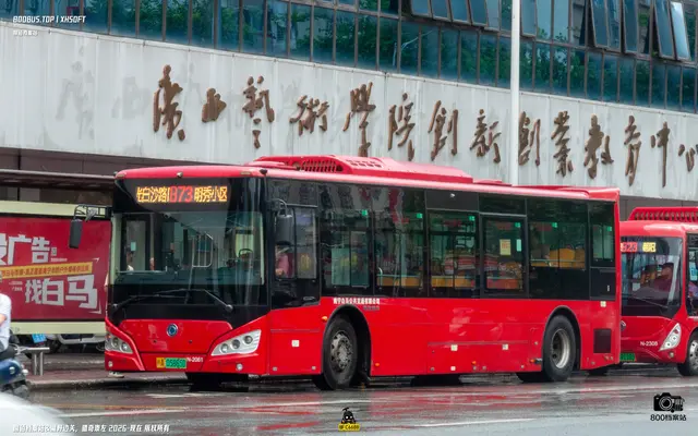 800BUS