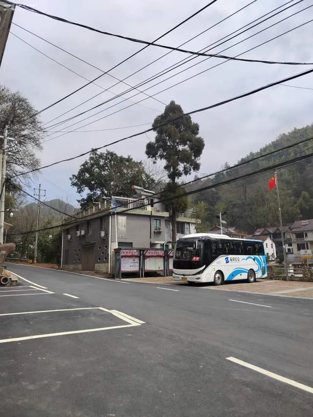 浙A 4S919
