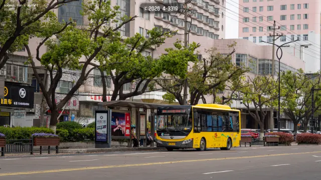 浙F M5707