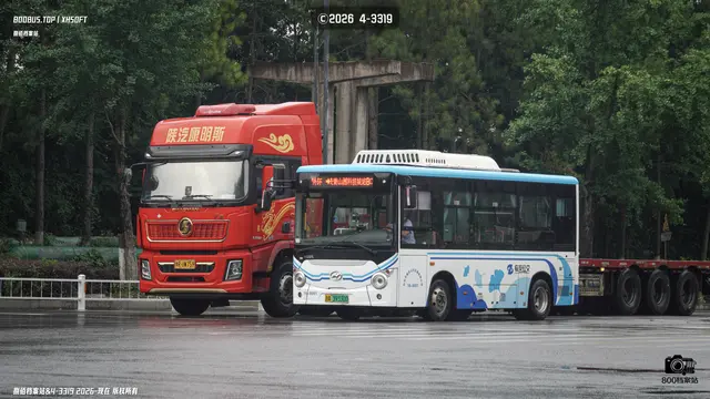 浙A 39330D