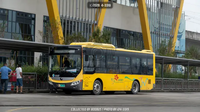 800BUS