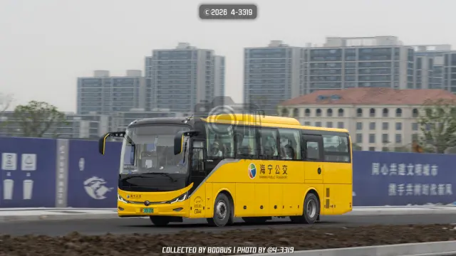 800BUS