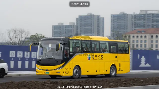 800BUS
