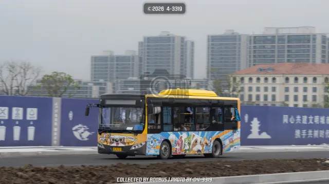 800BUS