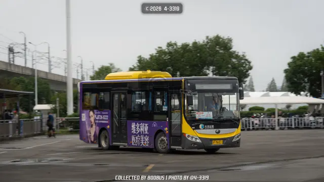 800BUS