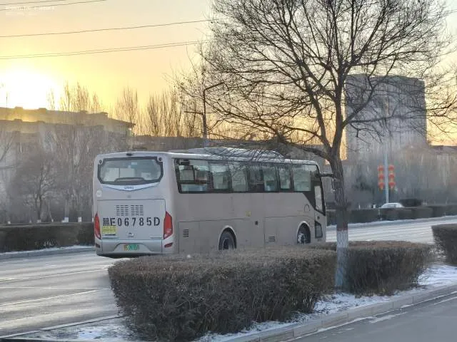 黑E 06875D