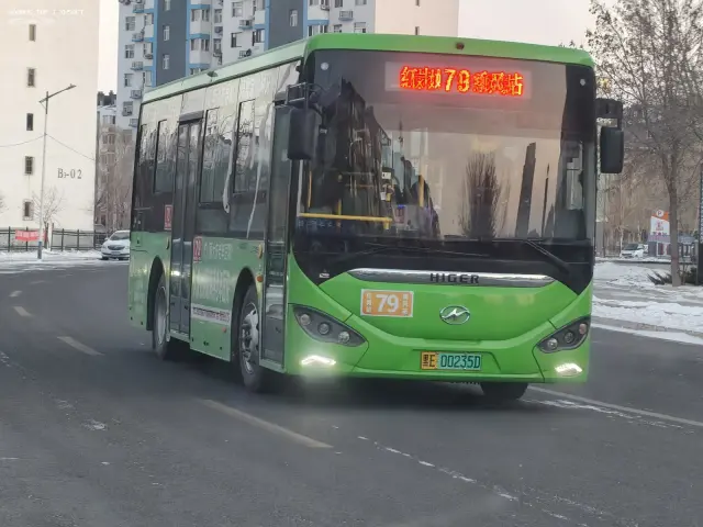 800BUS
