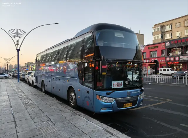 800BUS