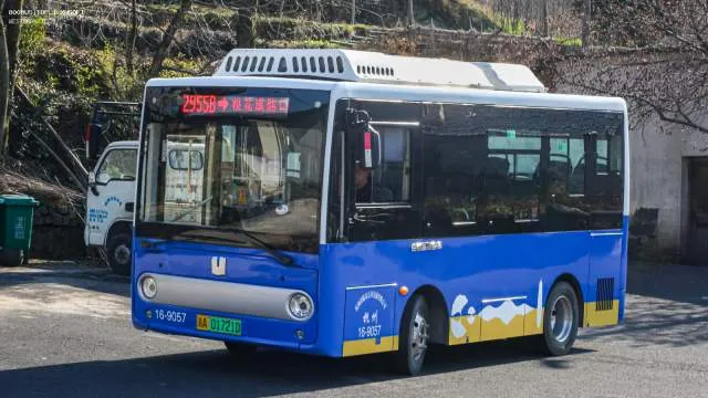 浙A 01721D