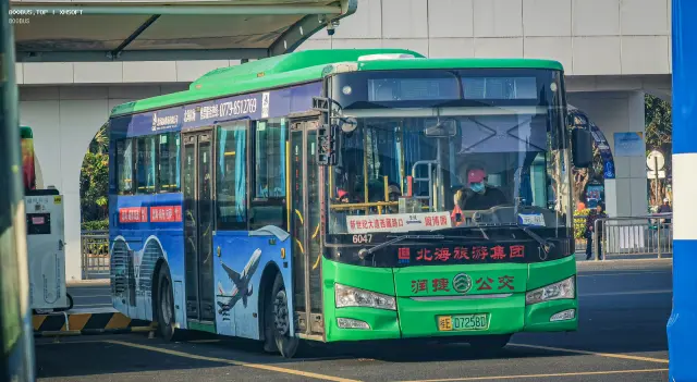800BUS