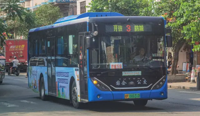 800BUS