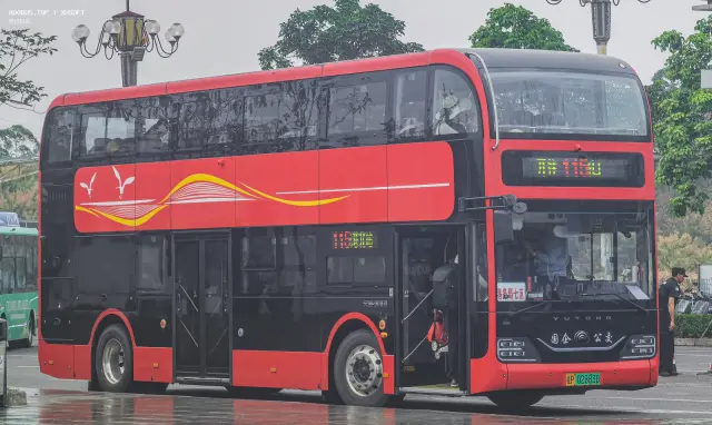 800BUS