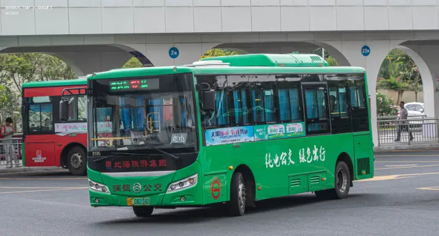 800BUS