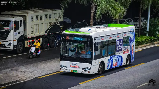 800BUS