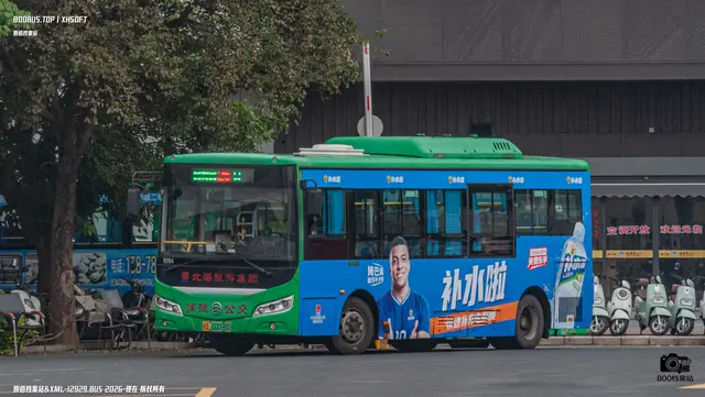 桂E 00098D