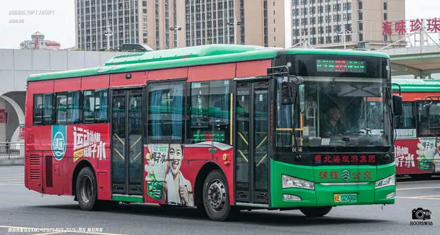 桂E 02908D