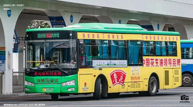 桂E 02099D