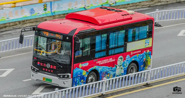 800BUS