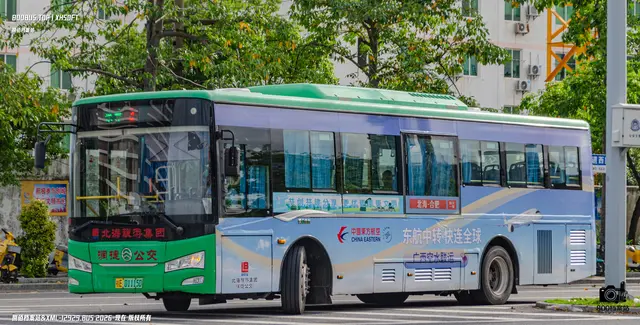 桂E 01115D