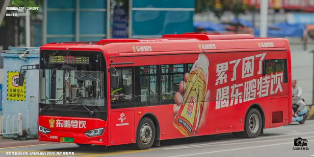 桂A 19052D