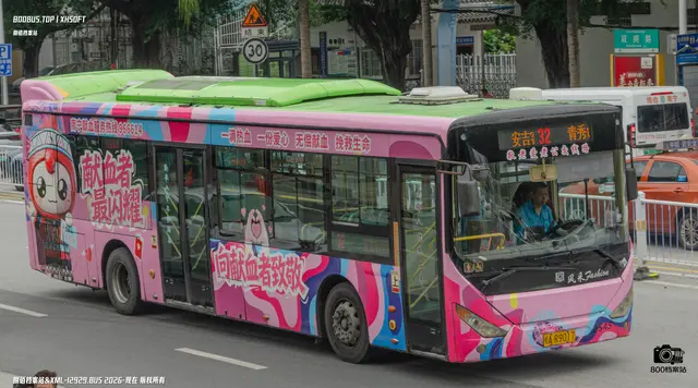 桂A R9017