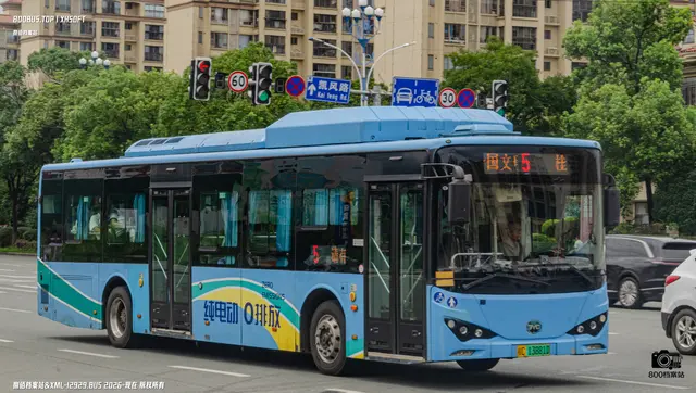 桂C 13881D