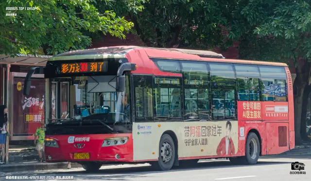 桂C 29820