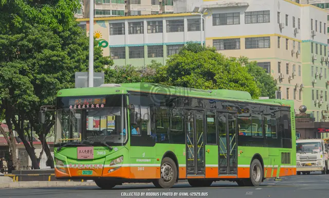 800BUS
