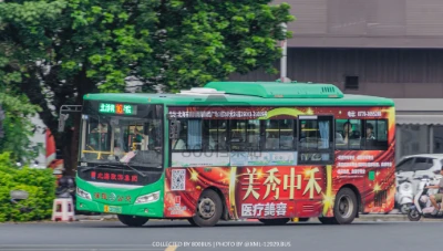 桂E 02088D